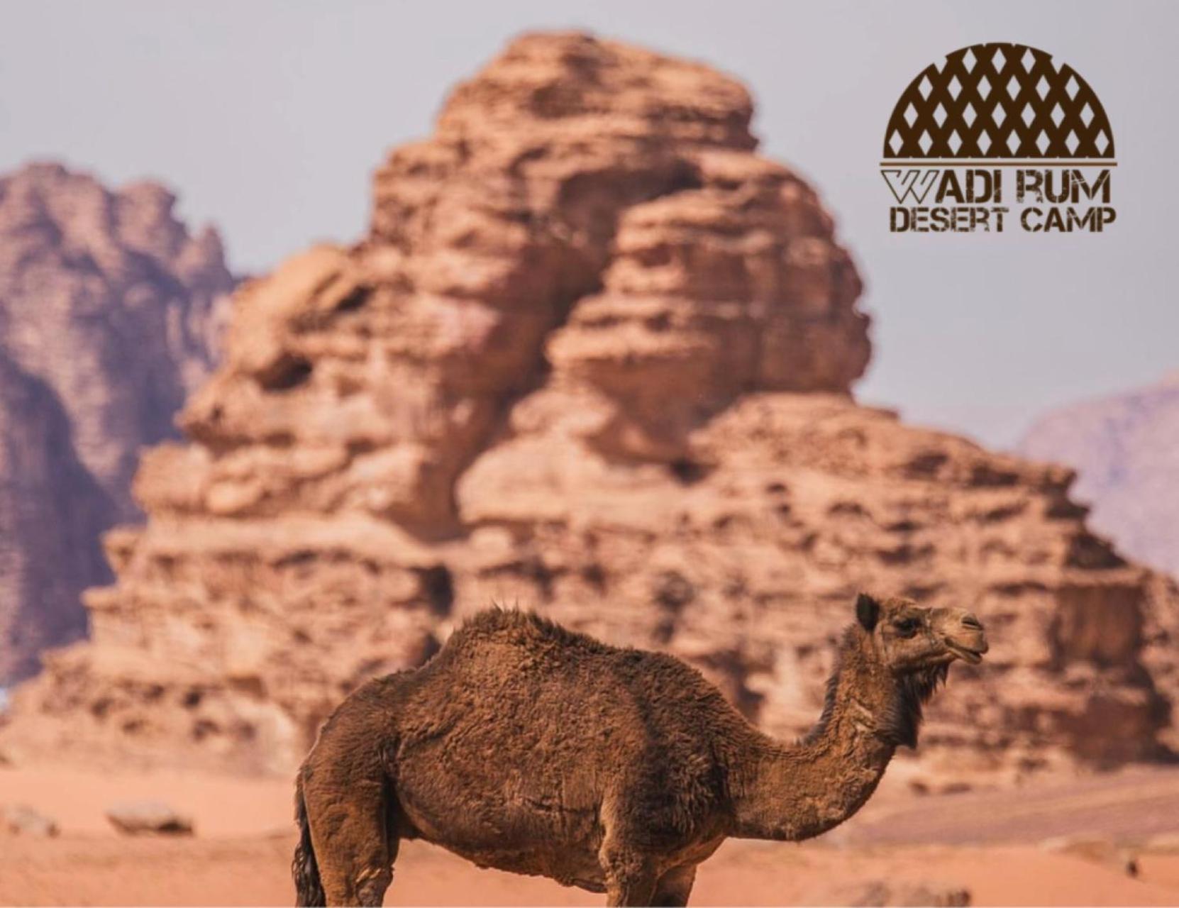 Wadi Rum Desert Camp Exterior photo